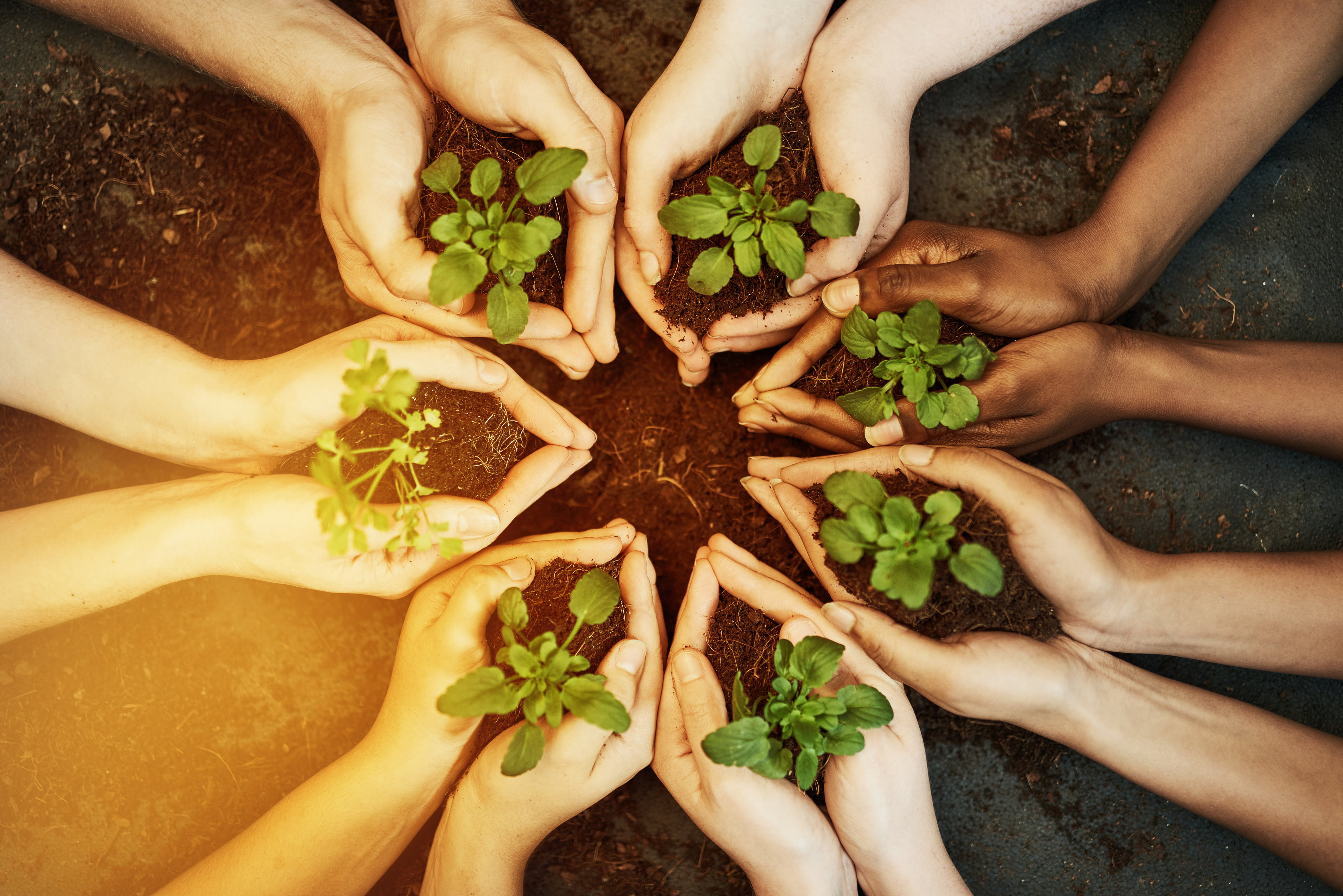 Enriching Lives - The Regional Group